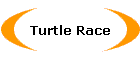 Turtle Race