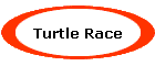 Turtle Race